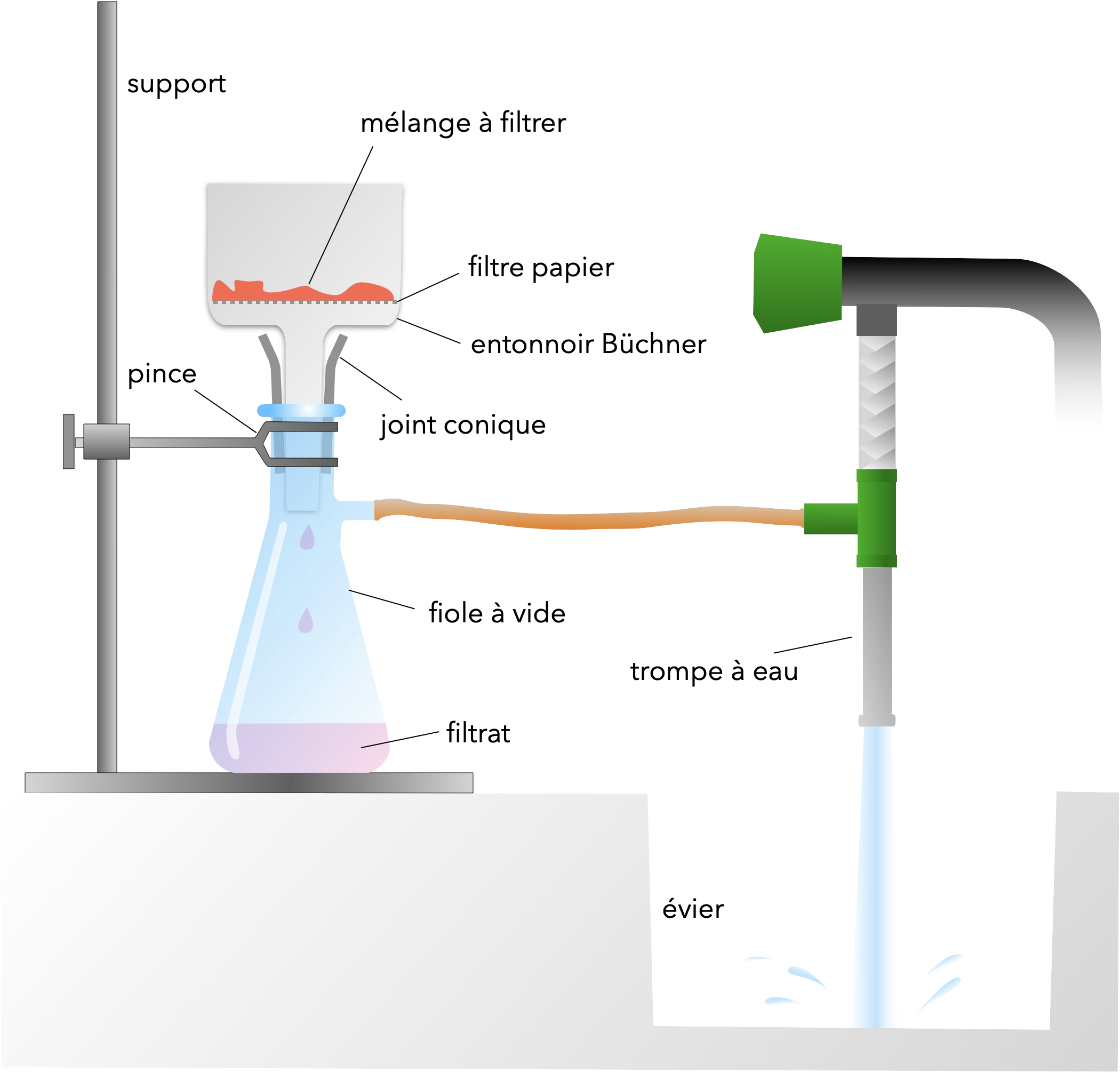 Filtration sous vide légendée : entonnoir Büchner, filtre papier, joint conique, fiole à vide, filtrat, trompe à eau
